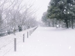 知多半島でも降雪予想！雪や交通状況がチェックできる24時間Webカメラ