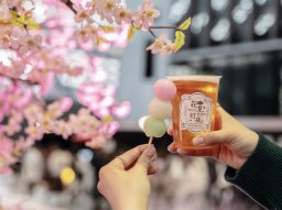 スカイランタン×夜桜！常滑市の愛知国際展示場で幻想的な「花見灯夜」3/30(土)・31(日)開催