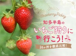 【2024年最新】愛知でイチゴ狩りするなら！知多半島イチゴ狩りスポット＜全26か所＞