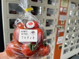 阿久比町産トマトの自動販売機！レアな動物にも会えるかも!?【おもしろ自販機#47】