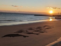 編集部が受けた衝撃サプライズとは？南知多町内海海岸で出会った「砂浜絵師ジャッカル」