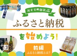 知多半島でふるさと納税を始めよう！【前編｜ふるさと納税って？限度額や注意点は？】【知多半島レポ#35】