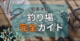 知多半島の釣り場完全ガイド｜釣れる魚・季節・初心者向け情報まで網羅！