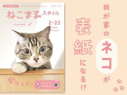 2/22(土)は猫の日！あなたの愛猫が「ねこまるスタイル」の表紙に!?