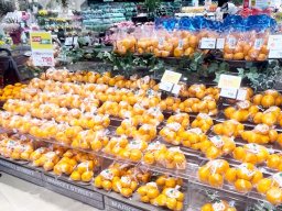 知ってた？平和堂知多店で流れているあの曲…。実は地元出身のアーティストが歌っていた【気になるリサーチ#19】