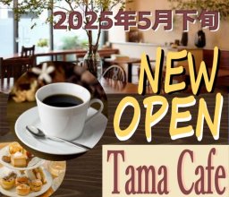 【開店】あのお弁当屋が手掛けるカフェ!?「Tama Cafe」が大府市に5月オープン予定