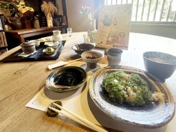 数量限定のランチメニュー！「常滑屋」で味わう常滑焼とお茶時間