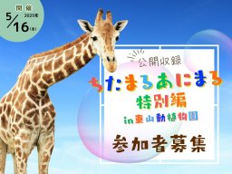 東山動植物園に40名を無料招待！「ちたまるあにまる特別編」公開収録の参加者を募集中！／ちたまる広告