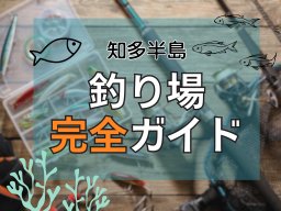 知多半島の釣り場完全ガイド｜釣れる魚・季節・初心者向け情報まで網羅！