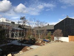 【閉店】カフェタイムは9/30(火)まで！半田市「Sake Cafe にじみ」が12月に閉店しリニューアル予定