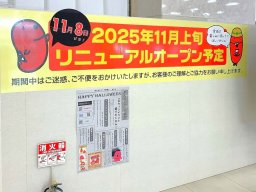 【開店】新しい遊具も加わり楽しさUP！「めんたいパークとこなめ」が11/8(土)リニューアルオープン