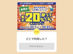 知多半島民に聞いた！「キャッシュレス決済ポイント還元」利用店舗教えて｜PayPay・楽天ペイ他でお得【気になるリサーチ#30】