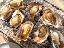 【開店】日本最大級！ウッドデザインパーク野間内に「体験型牡蠣小屋」が11/15(土)オープン