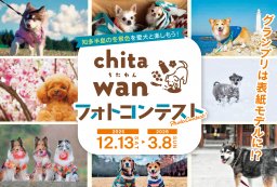 愛犬と楽しむ！知多半島の冬景色フォトコンテスト 12/13(土)～3/8(日)｜chitawan ちたわん