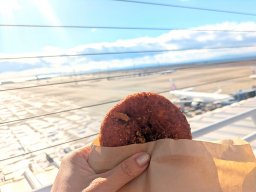 激レア！金賞受賞で話題のココイチ「カレーパン」が常滑市にあった！どこで買える？【ちたまる調査隊#54】