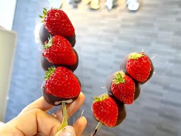 このお店どこ!?知多半島の気になるお店へ実際に行ってみた｜阿久比町編#1