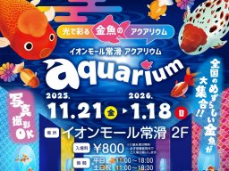 全国の珍しい金魚が大集合！「光で彩る金魚のアクアリウム」イオンモール常滑で1/18(日)まで開催中