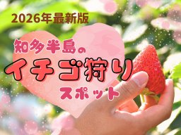 【2026年最新】愛知でイチゴ狩りするなら！知多半島イチゴ狩りスポット＜全24か所＞