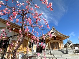 金メダリスト続出!?大府市の「金メダルのまち」で必勝祈願～八ツ屋神社～【知多半島のジンジャーニー#11】