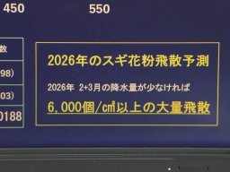 2026年の花粉飛散予測は例年の2倍!?専門家に聞く花粉症の予防対策は？
