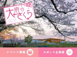 4/4(土)・5(日)は“サンリオクレープ号”も！大府市の桜イベント＆スポット完全ガイド／ちたまる広告