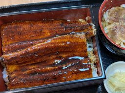 【開店】国道155号沿いでアクセス良好！うな重・ひつまぶし専門店「にょろ安」が大府市森岡町に4/8(水)オープン