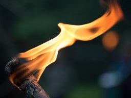 知多半島にも聖火がやって来る！第20回アジア競技大会「聖火リレー」スケジュール