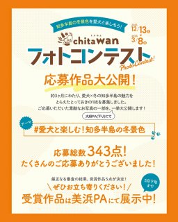 343点から選出！「chita wanフォトコンテスト」結果発表｜受賞作品はPAで展示中