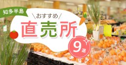 知多半島の直売所おすすめ9選｜野菜・魚・肉が買える産直スポットまとめ