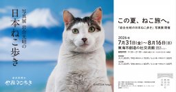 NHKの人気番組でお馴染み！「岩合光昭の日本ねこ歩き」写真展＆グッズ販売が7/31(金)より東海市創造の杜交流館で開催／ちたまる広告