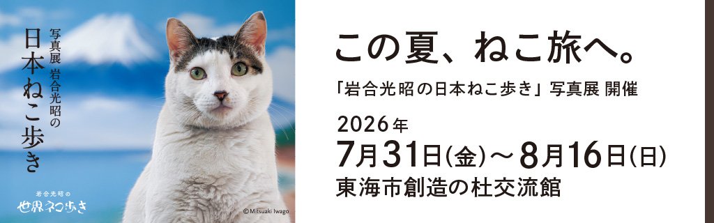 コンシューマキャンペーン 202411ディズニー
