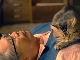 映画×写真展で“ネコの世界”に浸る！映画『ねことじいちゃん』が東海市で7/31(金)～8/16(日)特別上映／ちたまる広告