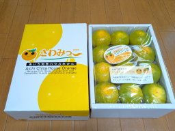 夏限定販売！知多半島の夏ミカン「さわみっこ」を食べてみた／ちたまるショッピング