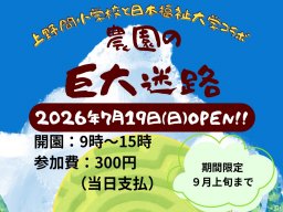 農園に巨大迷路が出現！美浜町で夏限定「農園の巨大迷路」を7/19(日)～9月中旬まで開催中
