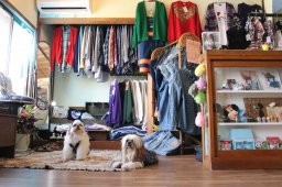 【開店】80年代～90年代を中心とした古着とリペアでつくる犬服を販売！古着屋「越糸善（えつくろう）」が7/19(日)オープン