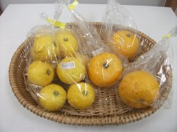 東海市観光物産プラザ