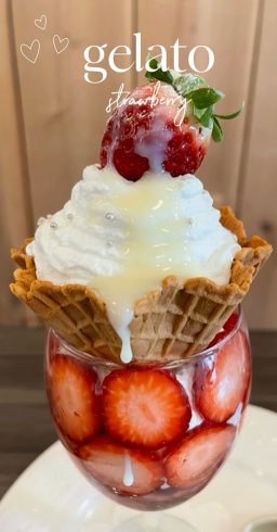 ラズベリーパイ ジェラート工房