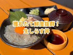 魚太郎本店