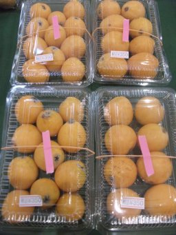 東海市観光物産プラザ