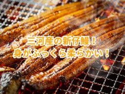 魚太郎本店