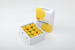 さわみっこ24玉入り化粧箱