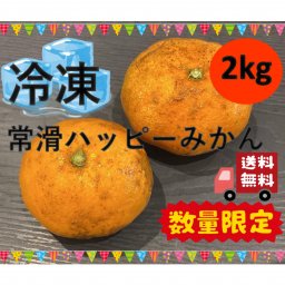 【冷凍・20ケース限定】常滑ハッピーみかん 2kg【冷凍便】