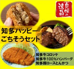 知多ハッピーごちそうセット～知多牛・知多豚～ コロッケ６個 ハンバーグ5個 ロースとんかつ5枚【冷凍便】