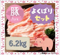 【送料無料】 知多豚よくばりセット6.2ｋｇ【冷凍便】