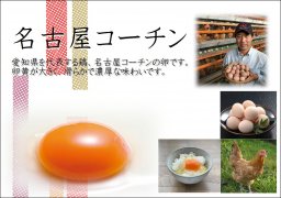 名古屋コーチンの卵　小玉　90個入り【常温便】