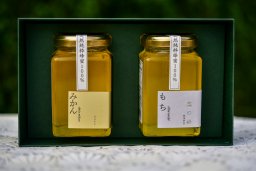 ギフト　はちみつ　はなぎの森250gみかん・250gくろがねもち