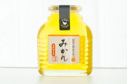 はちみつ　国産 非加熱 無添加 純粋 愛知県産 産地直送 知多半島産みかん蜂蜜550g入