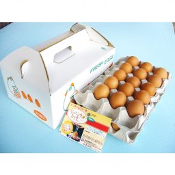 【超新鮮】青木養鶏場 ランニングエッグ赤卵30個入り【クール便(冷蔵)】