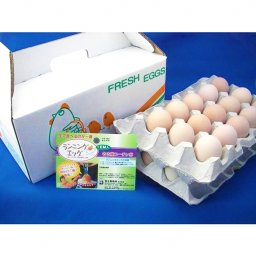 【超新鮮】青木養鶏場 ランニングエッグ名古屋コーチン卵30個入り【常温発送】
