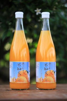 不知火ジュース２本セット